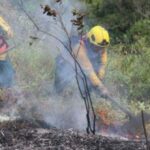 Devastadora quema forestal en Génova: más de 7.500 metros cuadrados afectados