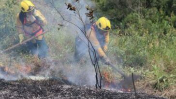 Devastadora quema forestal en Génova: más de 7.500 metros cuadrados afectados