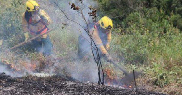 Devastadora quema forestal en Génova: más de 7.500 metros cuadrados afectados