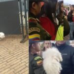 «Ella en el estadio viendo el partido, y su perro afuera de El Campín amarrado» rechazan este acto en Bogotá