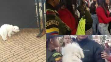 «Ella en el estadio viendo el partido, y su perro afuera de El Campín amarrado» rechazan este acto en Bogotá