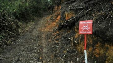 Se identificó que en el departamento de Nariño, Tumaco es la región con el mayor número de afectados de minas antipersonal.