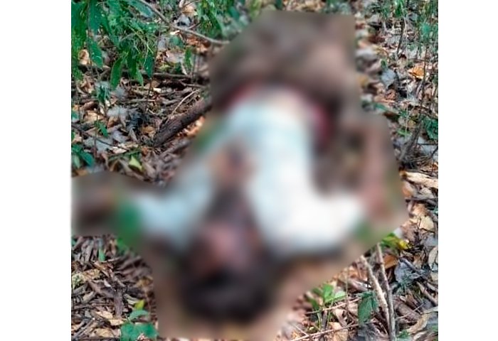 Hallan cadáver de un hombre en zona rural de La Paz