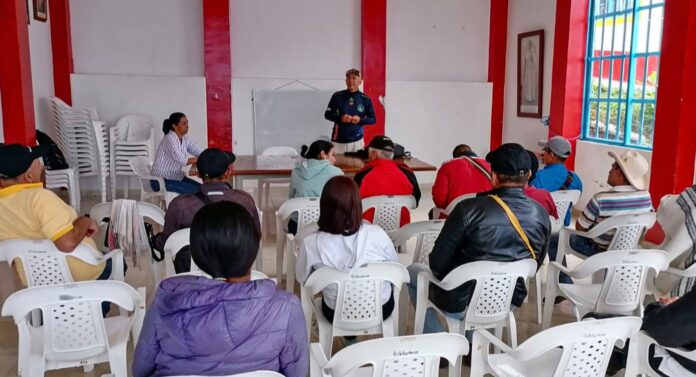 Impulsan siembra de cacao con agricultores de Oporapa