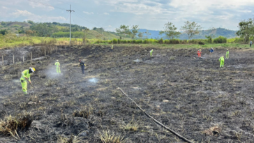 Incendio consumió cuatro hectáreas en el kilómetro 41