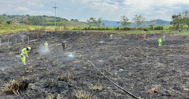 Incendio consumió cuatro hectáreas en el kilómetro 41