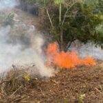 Incendio de cobertura vegetal en la vereda La Coqueta consumió cerca de una hectárea