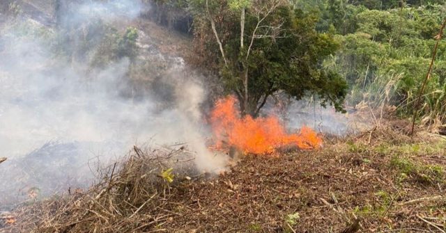 Incendio de cobertura vegetal en la vereda La Coqueta consumió cerca de una hectárea