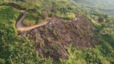 Incendio forestal afectó al municipio de Belalcázar