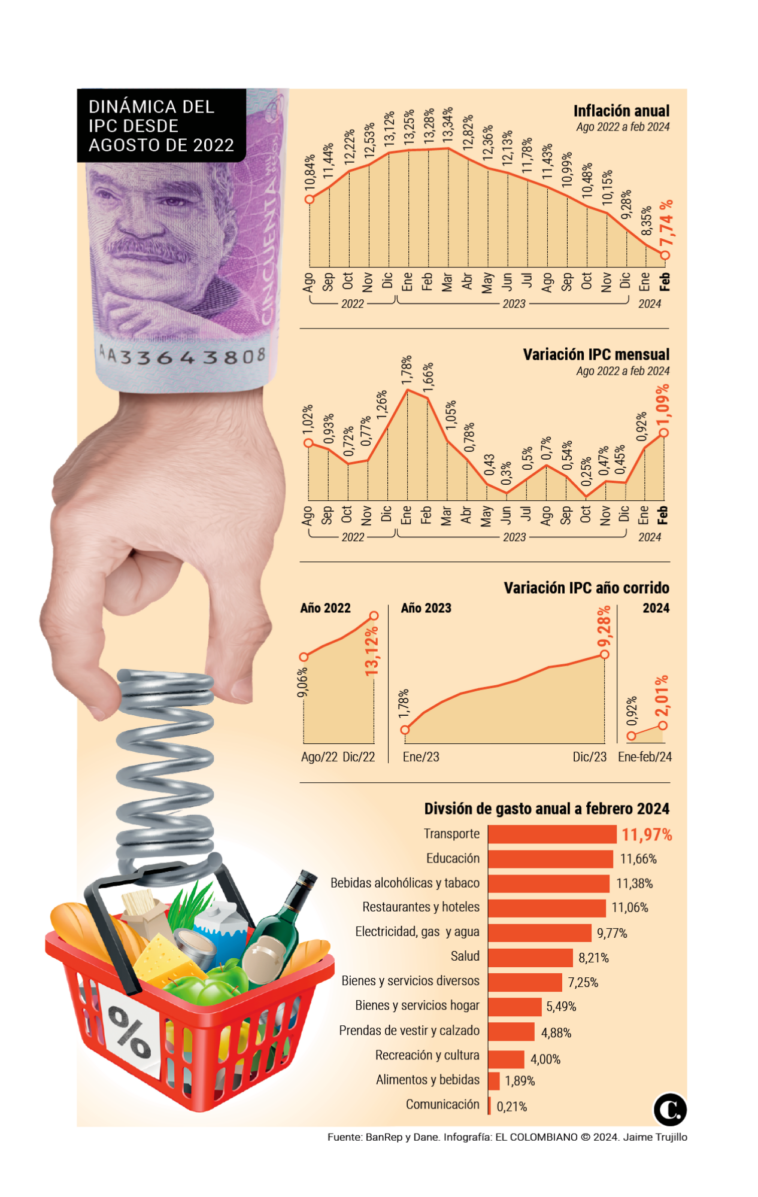 InfogrÃ¡fico