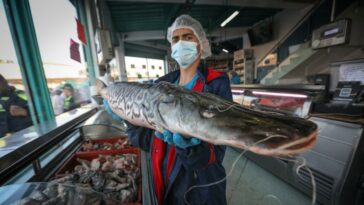 La caída de la inflación también se siente en el precio del pescado en la Semana Mayor