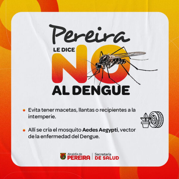 Medidas de prevención ante aumento de casos de dengue en Pereira