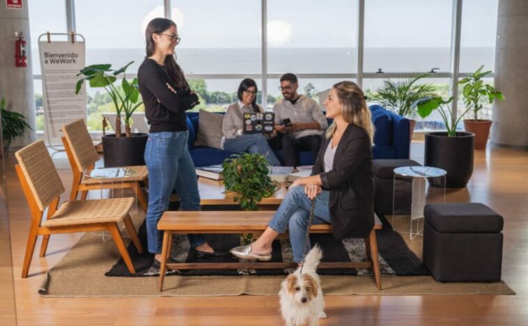 Mitos Y Verdades De Las Oficinas Pet Friendly