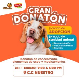 Participa en la gran donatón para perritos y gatos en Montería