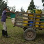 Recuperación de la economía iría más lento de lo esperado