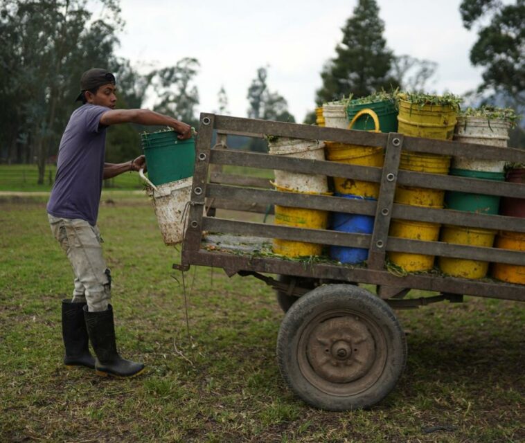 Recuperación de la economía iría más lento de lo esperado