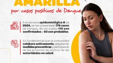 Secretaría de Salud de Pereira declara alerta amarilla por brote de dengue