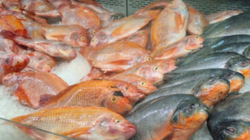 Secretaría de Salud realizó inspección a pescaderías del Centro de Pereira