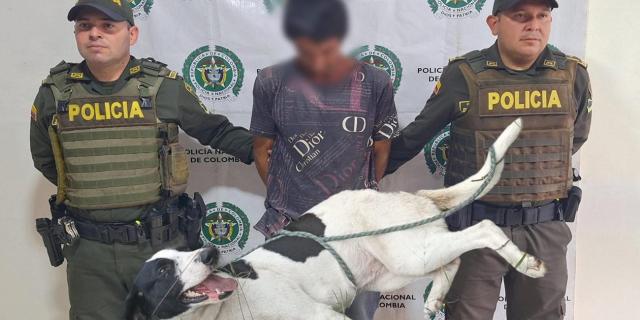 Desalmado fue capturado luego de agredir salvajemente a ‘Pinina’, una perrita criolla en Cajamarca