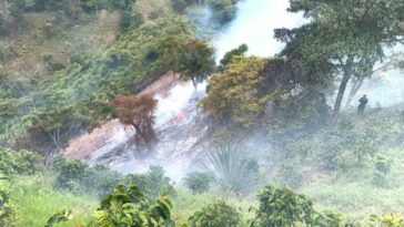 Sujeto fue capturado por el delito de ecocidio: incendio arrasó cerca de 4.500 metros de vegetación