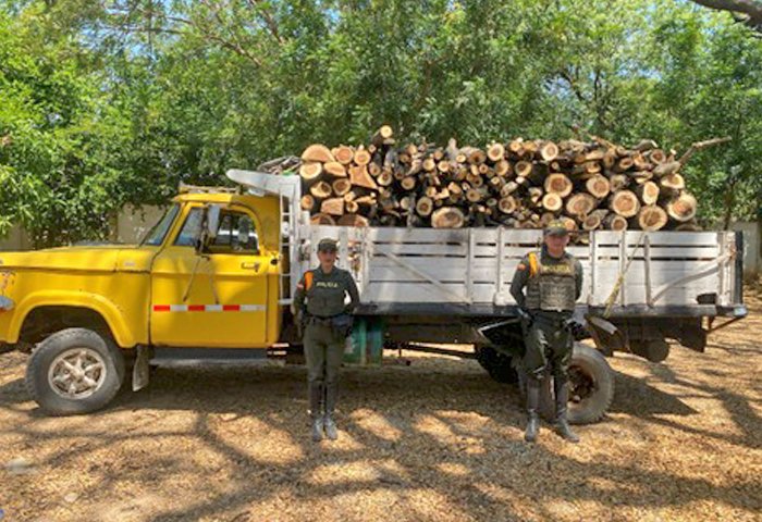 Transportaban madera de manera ilegal