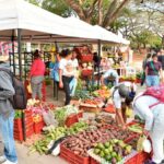 Ventas del Mercado Campesino superaron los $38 millones