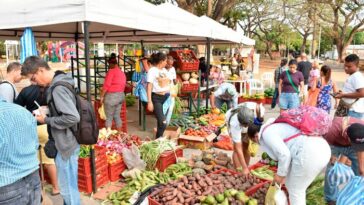 Ventas del Mercado Campesino superaron los $38 millones