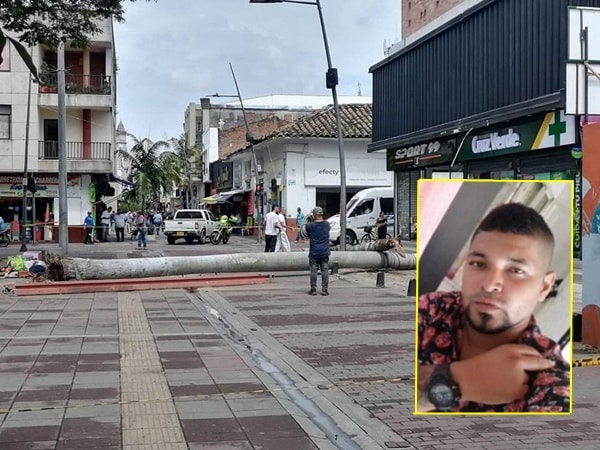 Víctor estaba podando un árbol cuando murió.