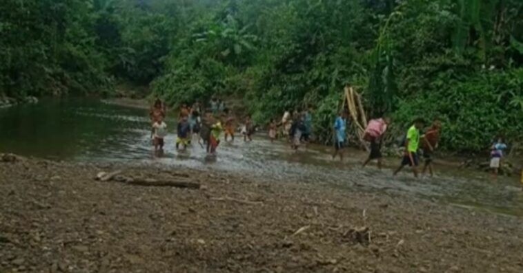 Zozobra en Alto Baudó, Chocó, por combates entre Ejército y Clan del Golfo