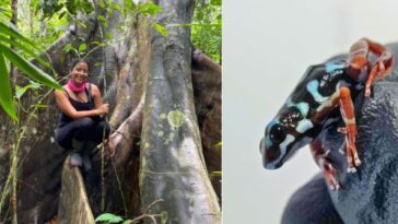 ¡Destacada! Fernanda Diago, la tebaidense que estudia las ranas venenosas en Panamá