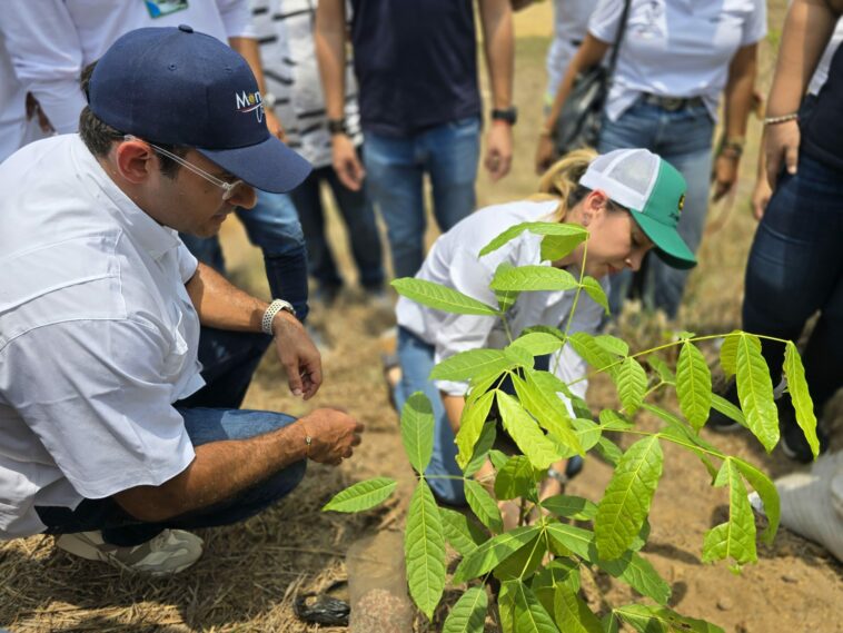Alcalde puso la primera estaca para la reforestación de la cuenca del Betancí