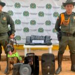 Canino antinarcótico detectó droga en paquetes de encomienda