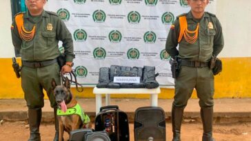 Canino antinarcótico detectó droga en paquetes de encomienda