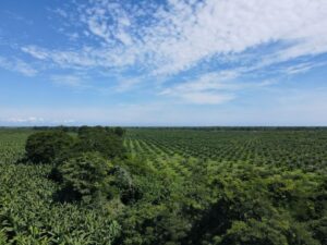 Colombia es uno de los países latinoamericanos que más desperdicia agua en la agricultura