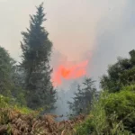 Cundinamarca: Continúan incendios forestales en diferentes municipios del departamento