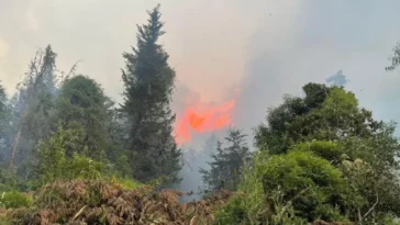 Cundinamarca: Continúan incendios forestales en diferentes municipios del departamento