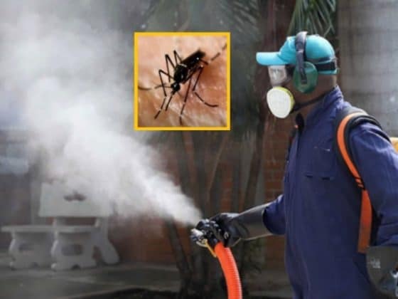 Dengue en Nariño