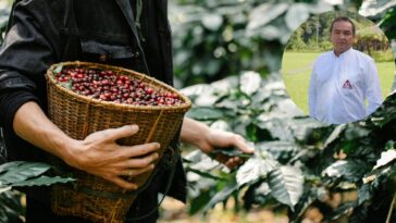 «Esperamos que las lluvias no sean tan fuertes para que la producción de café en Caldas no se vea afectada» Marcelo Salazar