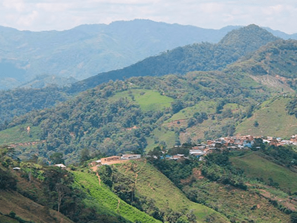 La cordillera nariñense está sugiriendo graves afectaciones por la presencia de grupos armados ilegales que están ejerciendo control territorial. Foto: María Clara Calle / VerdadAbierta.com.