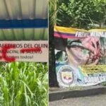 Graffitis en Salento y Armenia no son auténticos, aseguran autoridades regionales