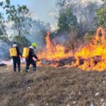 Incendió consumió más de 7 hectáreas de cobertura vegetal en zona rural de Neiva
