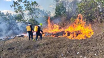 Incendió consumió más de 7 hectáreas de cobertura vegetal en zona rural de Neiva