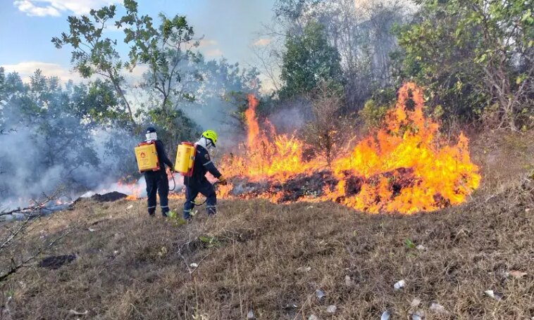 Incendió consumió más de 7 hectáreas de cobertura vegetal en zona rural de Neiva