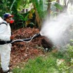 Más educación que fumigación para prevenir el dengue, dice director del programa ETV en Córdoba