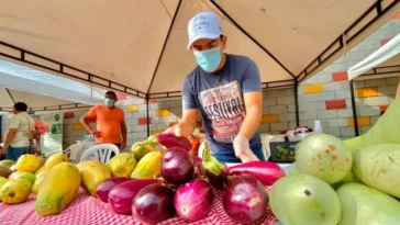 Montería: este sábado Mercado Campesino en la Villa Olímpica del Norte