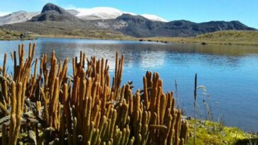 Parque Nacional de los Nevados es reconocido como sujeto de derechos marcando un hito en su protección