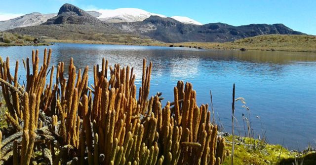 Parque Nacional de los Nevados es reconocido como sujeto de derechos marcando un hito en su protección