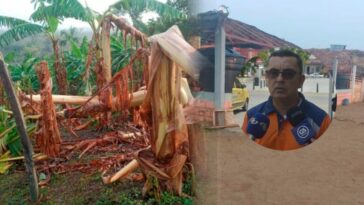 Puerto Escondido: más de 100 casas afectadas y 150 hectáreas de cultivos con daños
