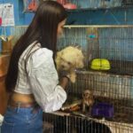 Sanción a un establecimiento comercial de animales en Armenia