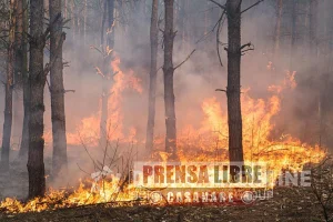 Sanción de $14 millones a ciudadano por provocar incendio forestal